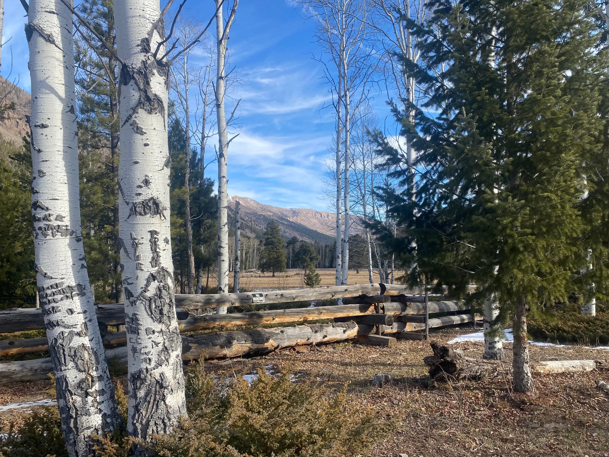View of yard featuring a mountain view