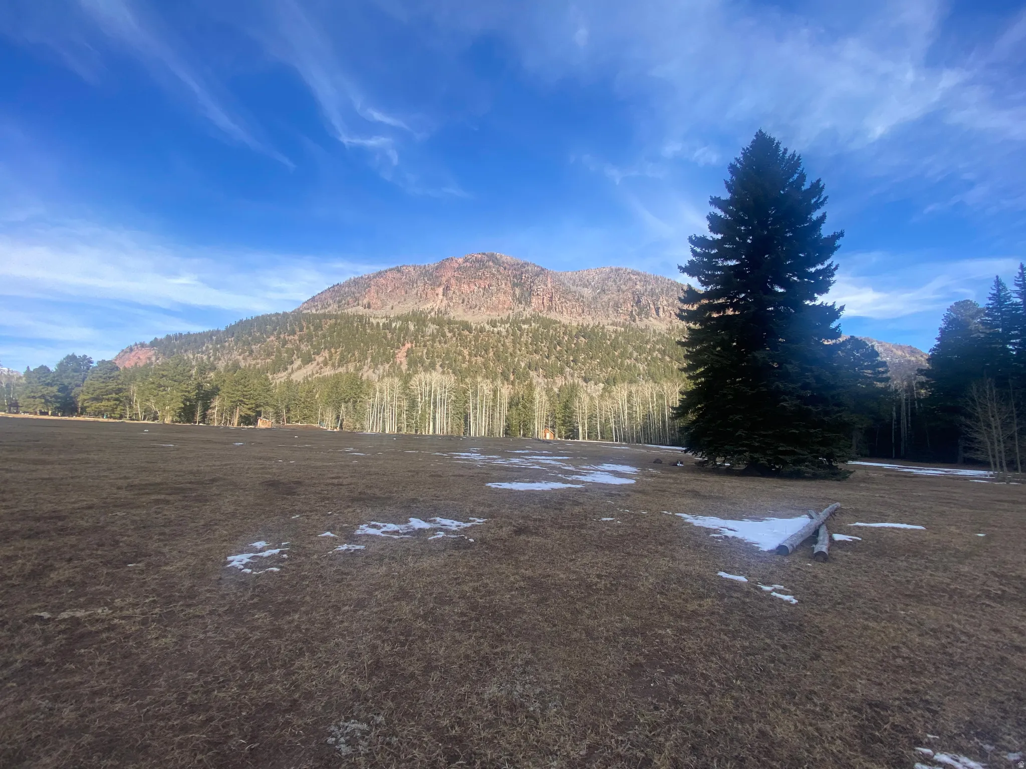 View of mountain backdrop with a heavily wooded area