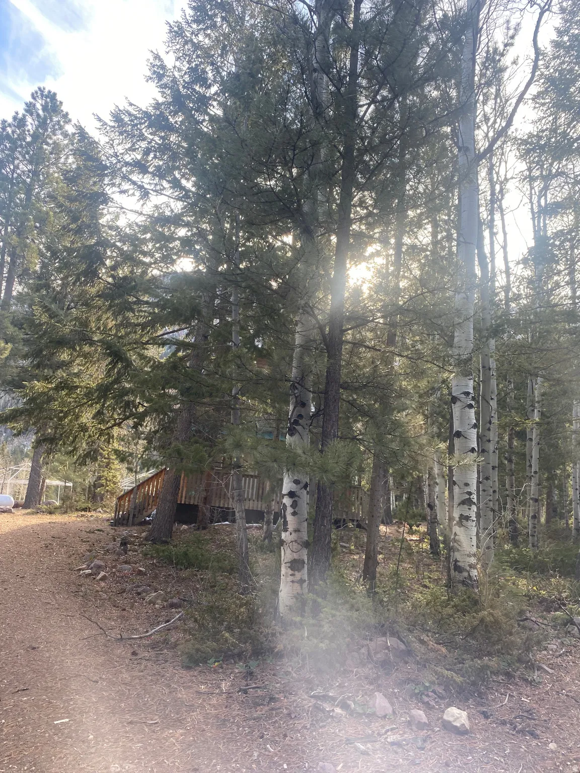 View of nature