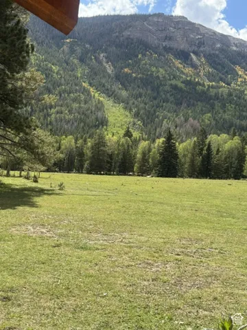 Expansive grassy field with a backdrop of a densely treed mountain range under a partly cloudy sky