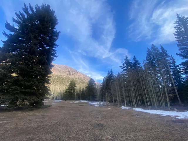 View of yard with a wooded view and a mountain view