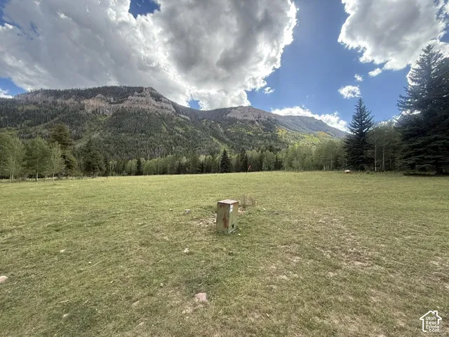 Expansive grassy terrain featuring mature trees and a prominent mountain backdrop