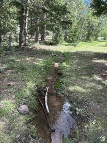 Natural stream flowing through a grassy landscape with mature trees