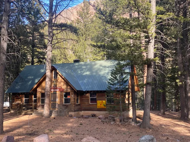 View of front of house with a metal roof, a porch, and a view of trees