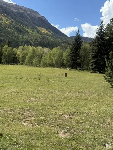 Expansive grassy terrain bordered by mature coniferous and deciduous trees, with a prominent mountain backdrop