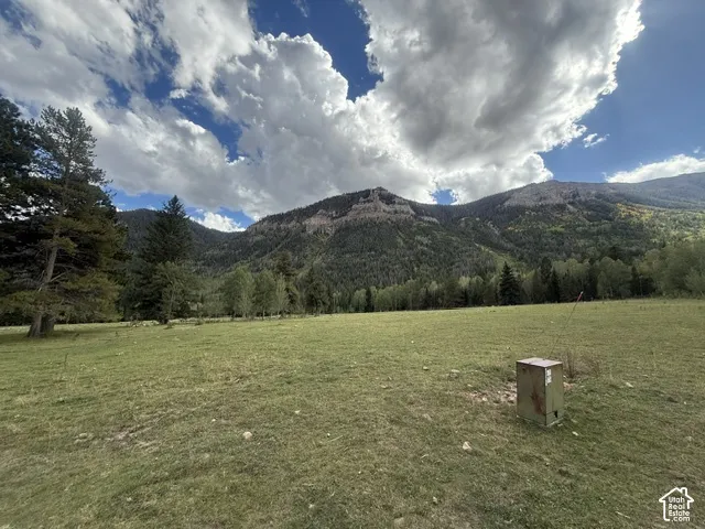 Expansive open field with scattered mature trees and a rugged mountain backdrop
