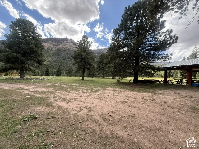 Expansive outdoor space featuring mature trees, a covered picnic area with multiple tables, and a rugged mountain backdrop