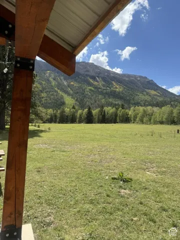 Expansive grassy field with a backdrop of mature trees and mountains