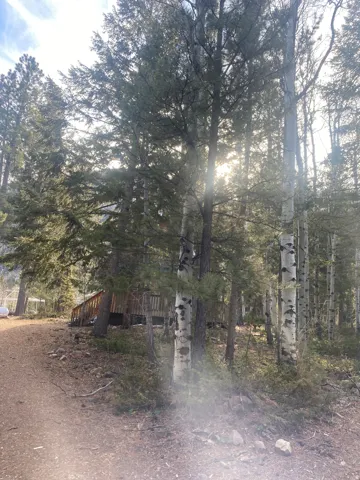 View of nature