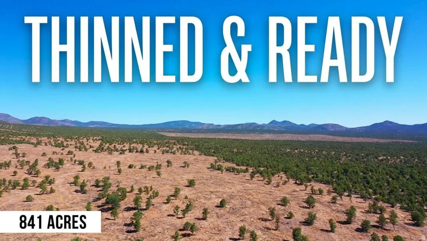 Real Estate Listing. Aerial view of 841 acres of land, indicating property condition and acreage