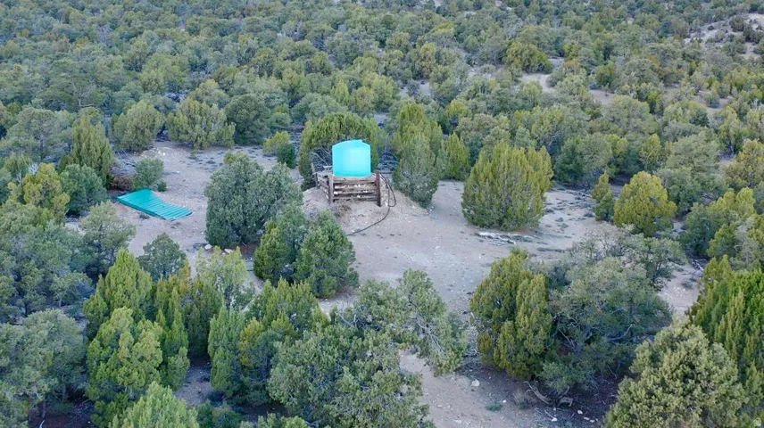 Expansive natural landscape with varied mature trees and a prominent blue water tank