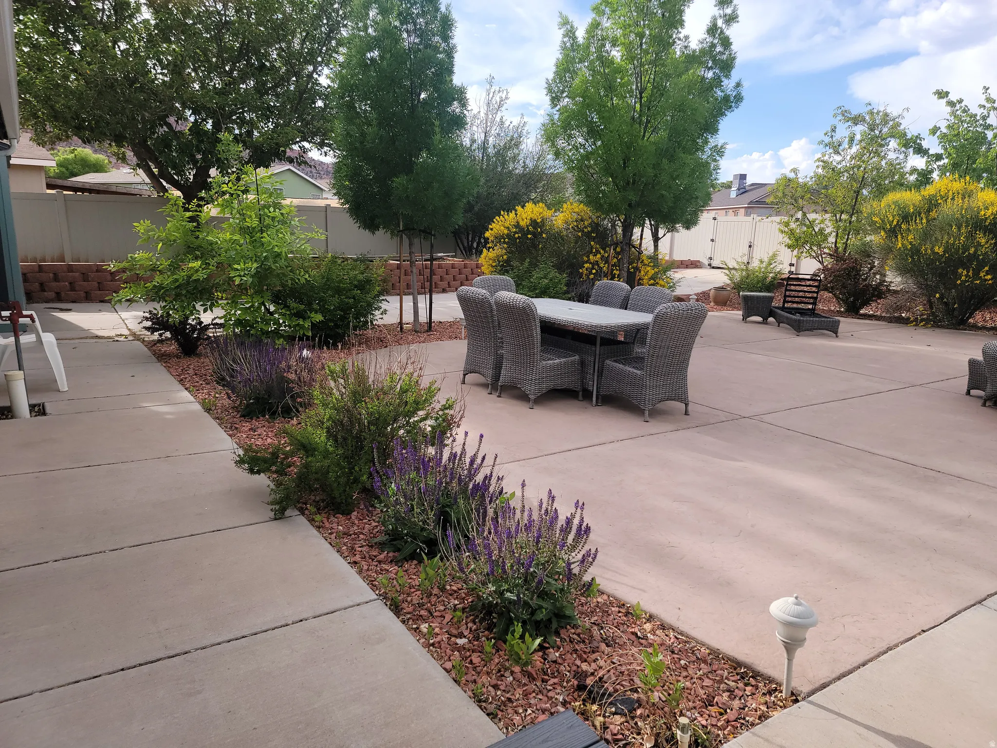 Backyard in full bloom