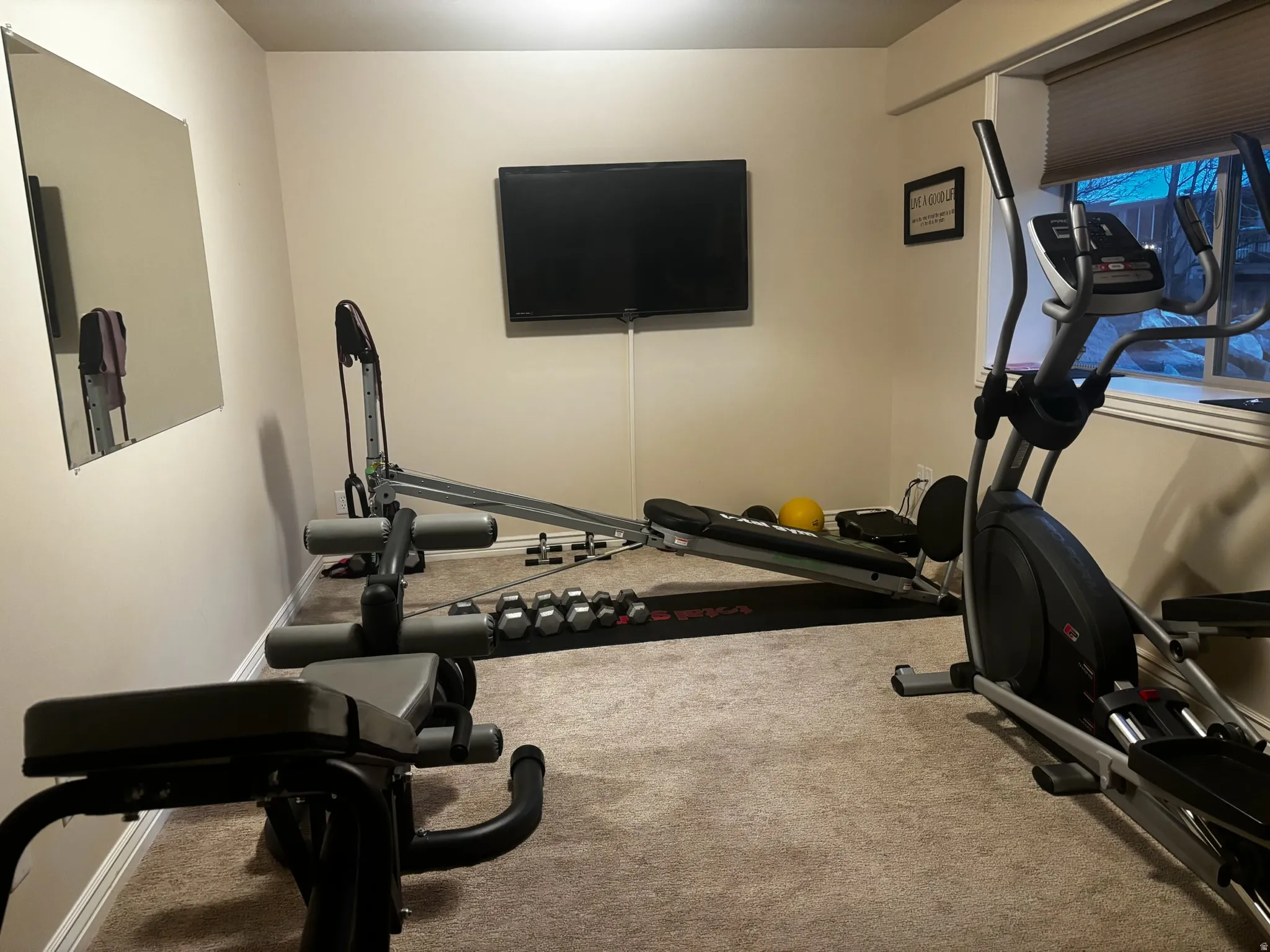 Workout room featuring carpet floors
