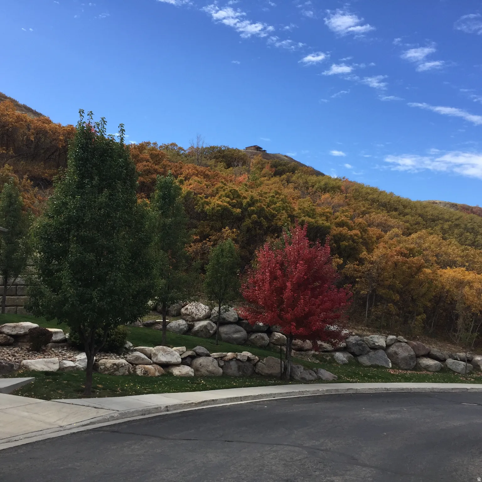 Mountain view