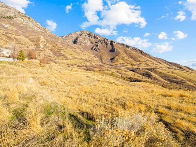 View of mountain background