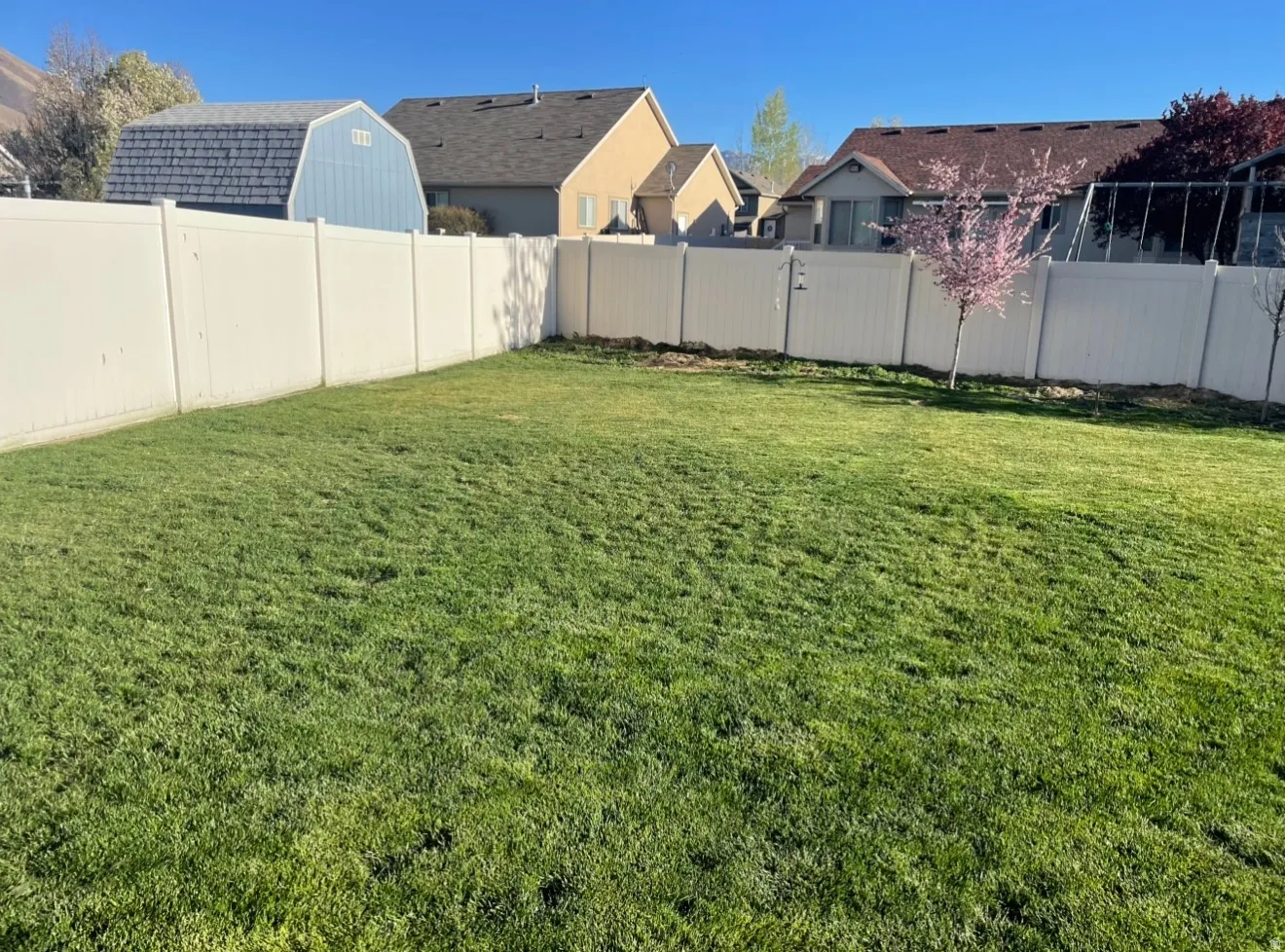Expansive backyard featuring a large green lawn, full privacy fencing, and a blooming ornamental tree