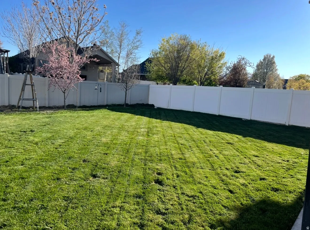 Expansive backyard featuring a lush lawn with distinct mow lines, surrounded by white privacy fencing