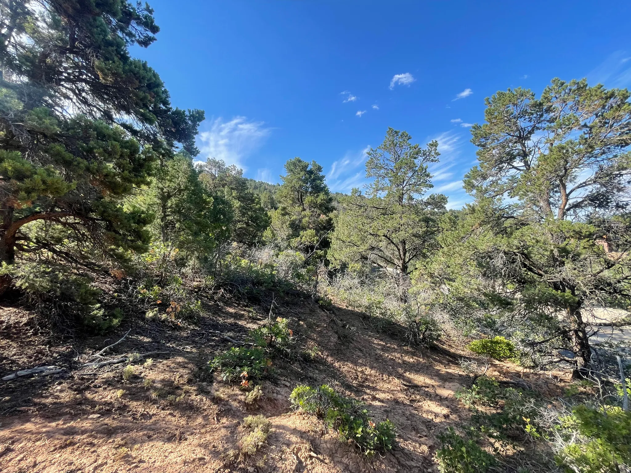 section of lot