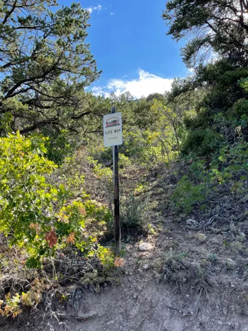 Exterior view of a heavily wooded area