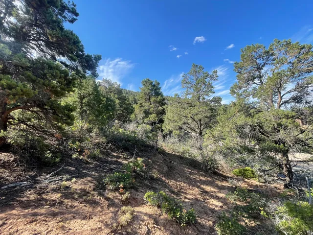 section of lot