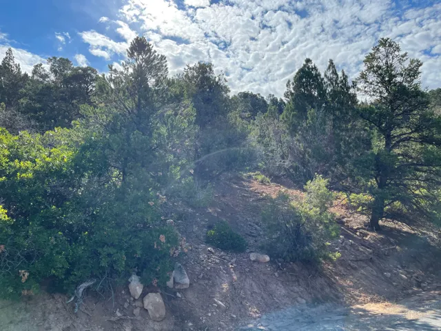 section of lot