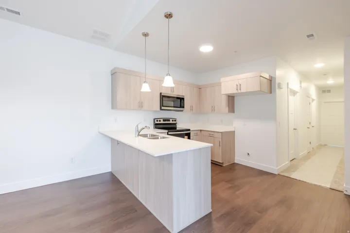 Modern kitchen featuring light wood-finish cabinetry, stainless steel appliances, and a peninsula with pendant lighting