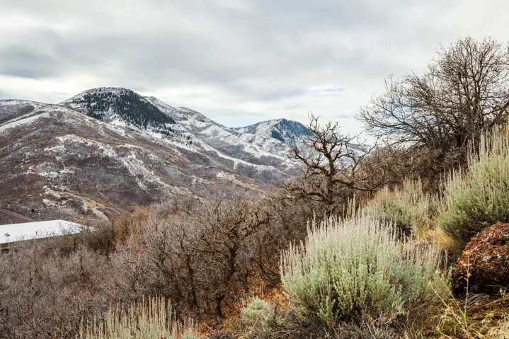 5855 E Pioneer Ridge Cir, Salt Lake City, Utah 84108
