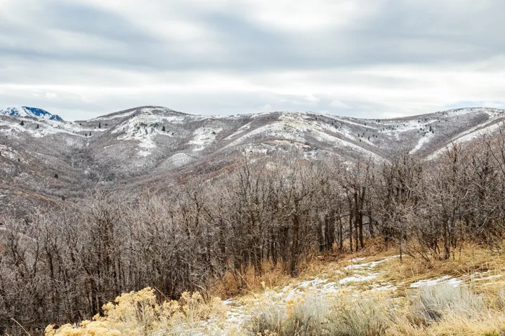 5855 E Pioneer Ridge Cir, Salt Lake City, Utah 84108