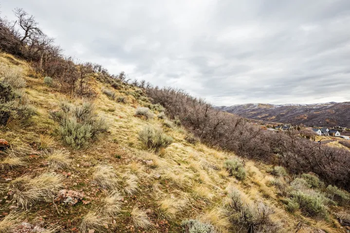 5855 E Pioneer Ridge Cir, Salt Lake City, Utah 84108