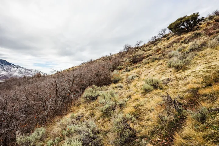 5855 E Pioneer Ridge Cir, Salt Lake City, Utah 84108