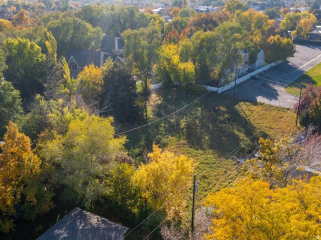 Aerial view of a forest