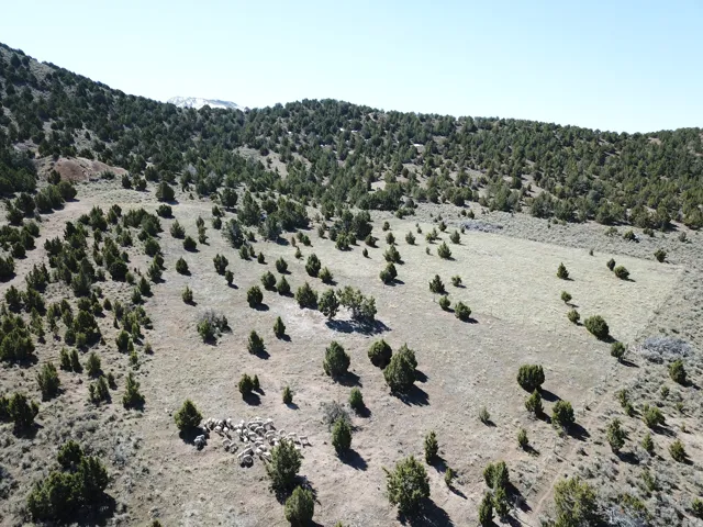 View of mountain background