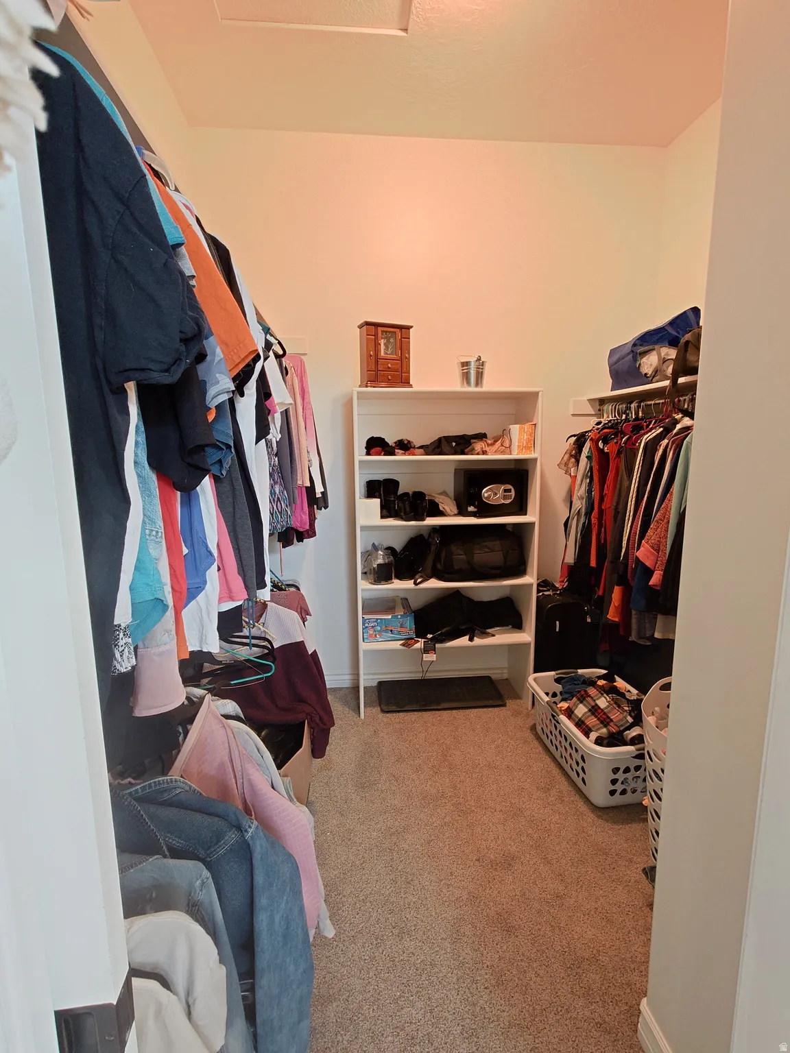 Walk in closet featuring light colored carpet