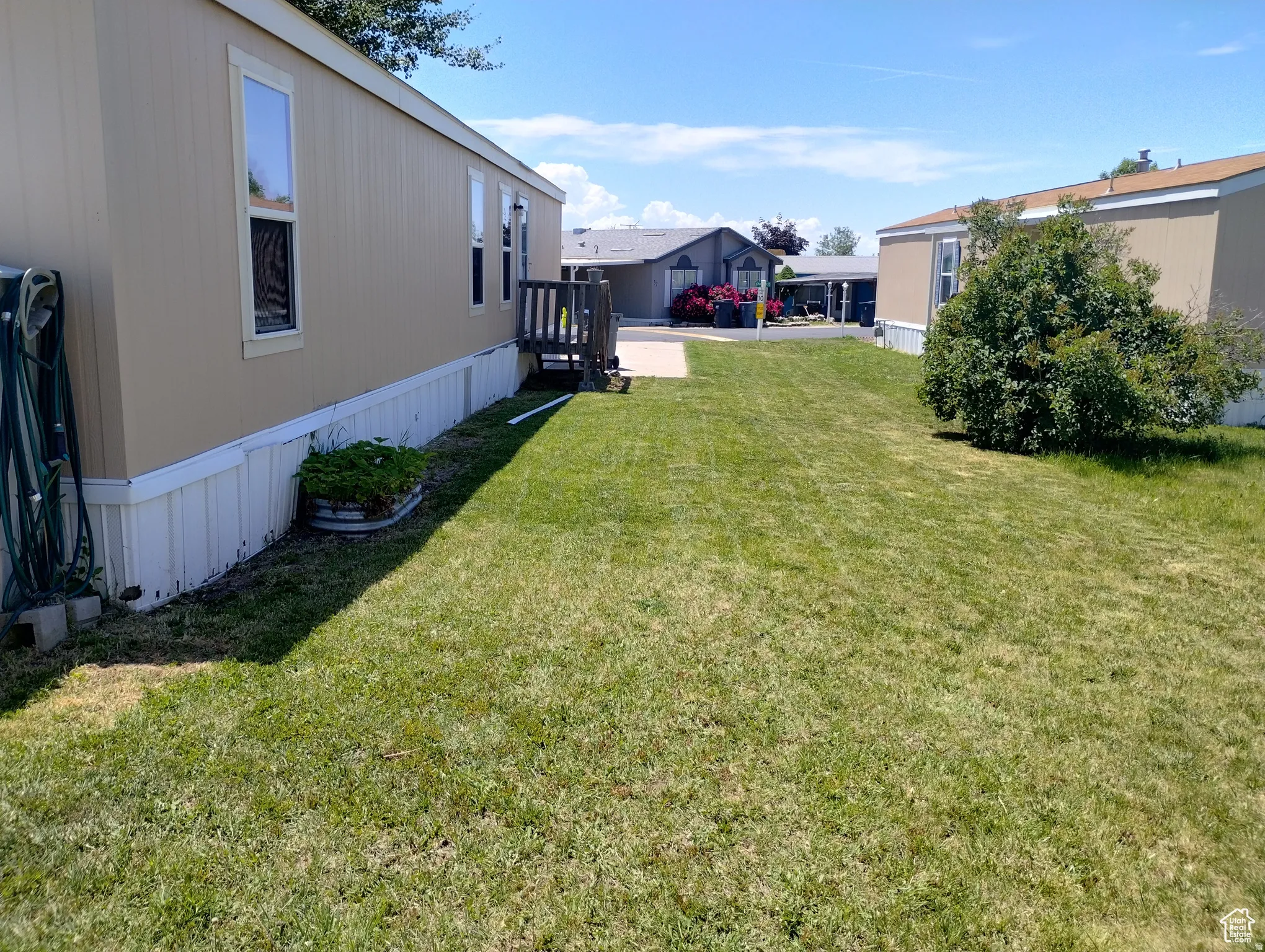 View of grassy yard