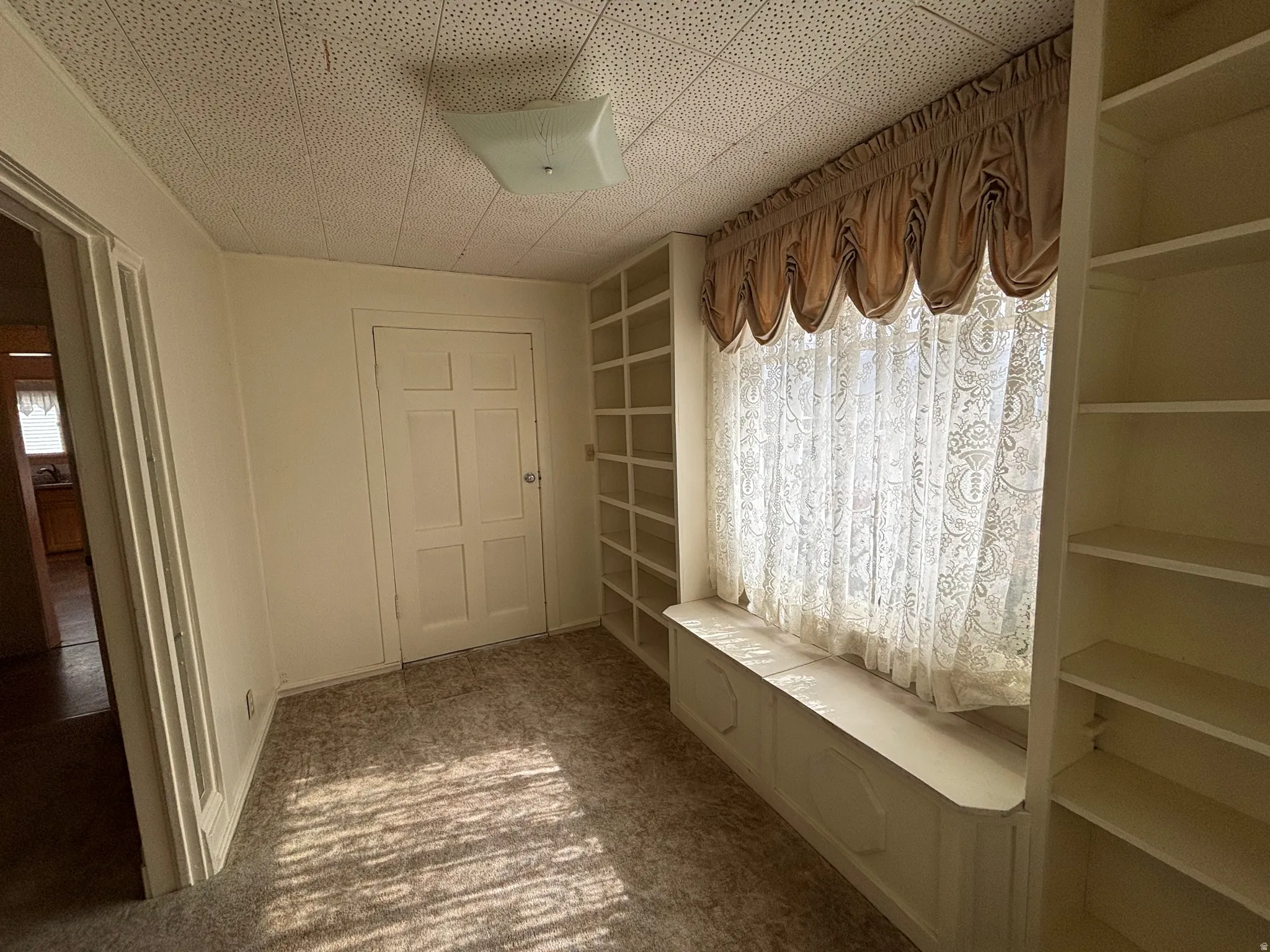 Mudroom with carpet flooring
