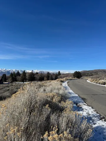 Paved road bordered by natural vegetation and distant snow-capped mountains