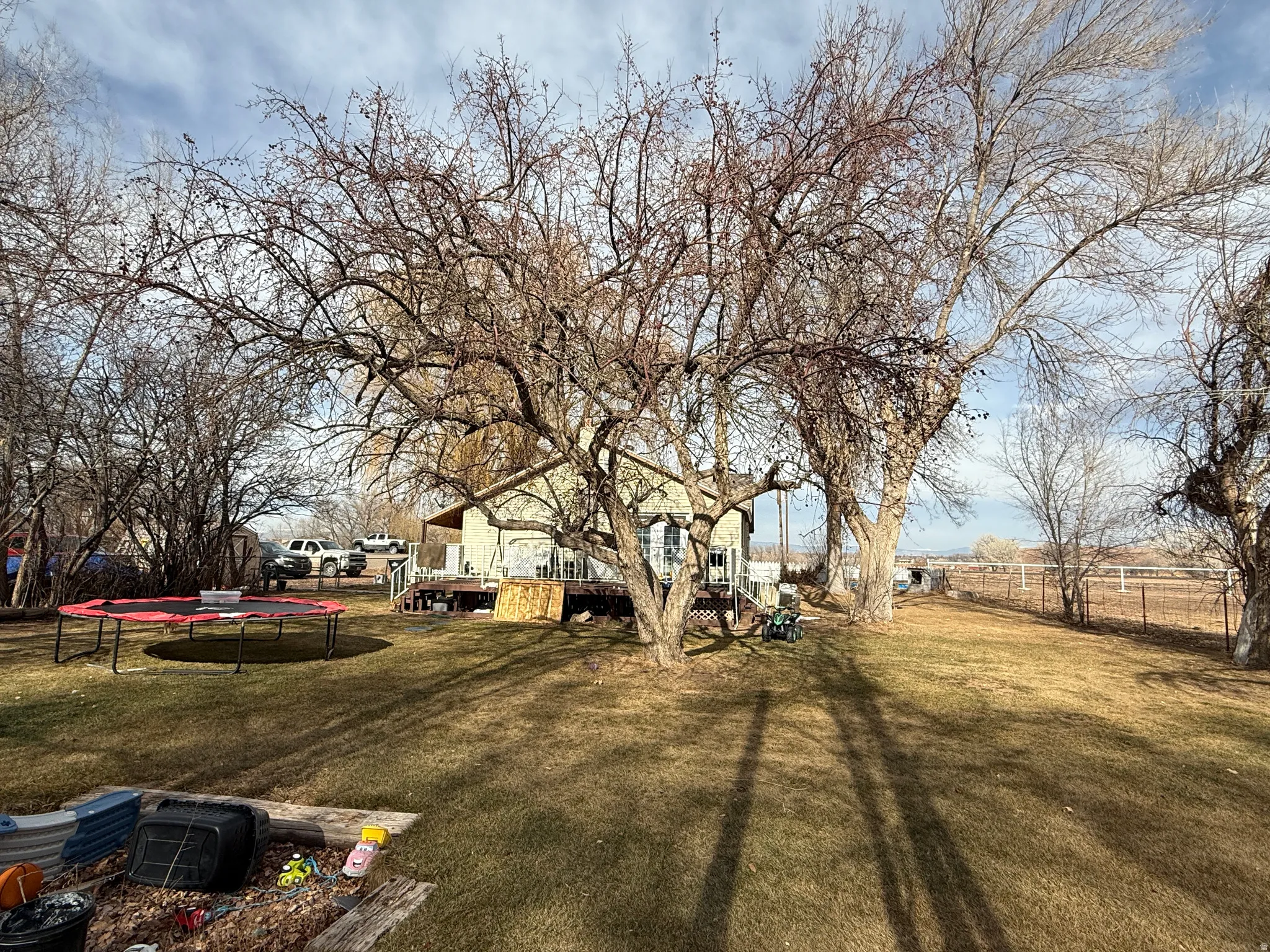 View of yard with a trampoline
