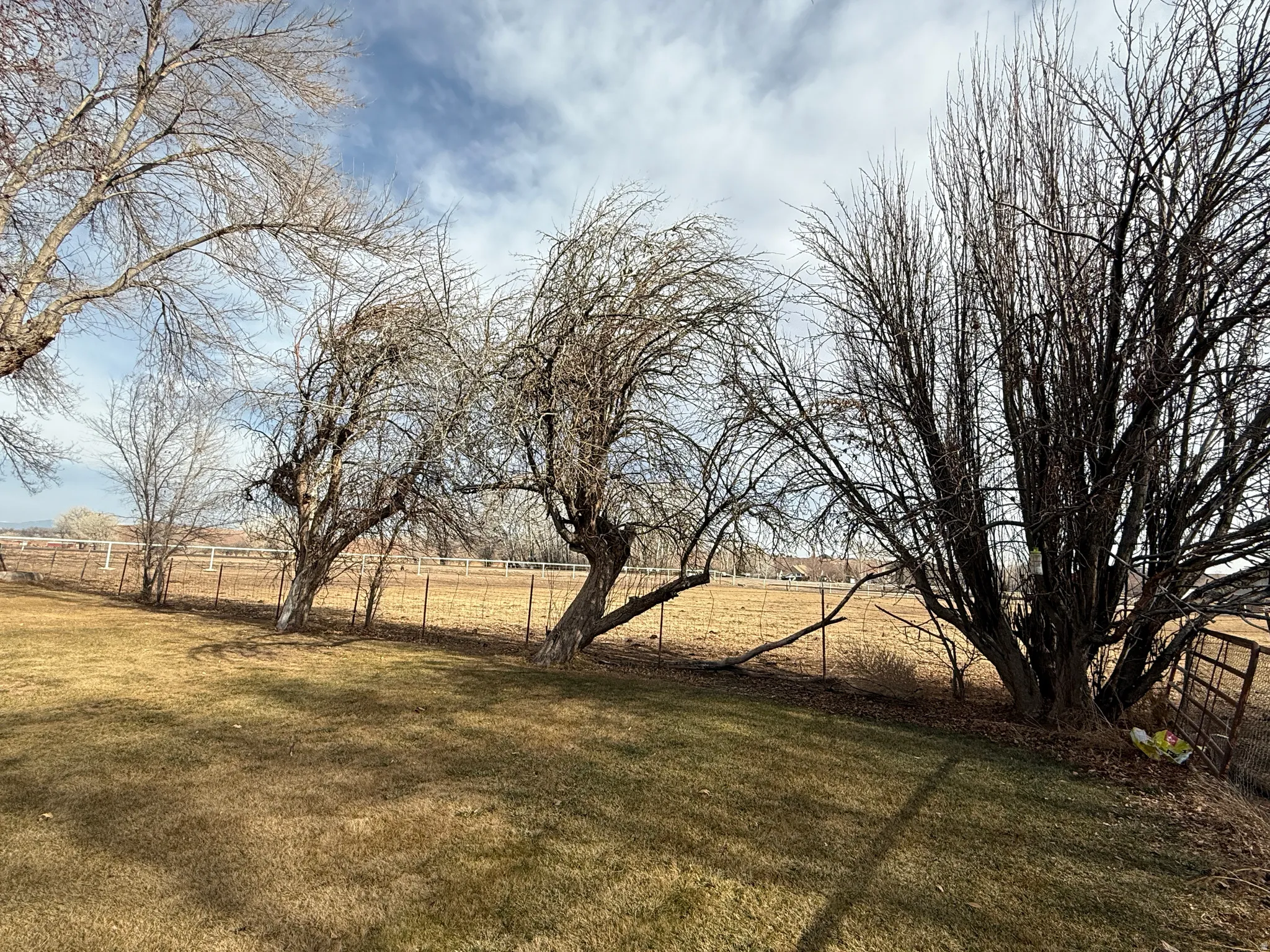 View of yard with a view of rural / pastoral area
