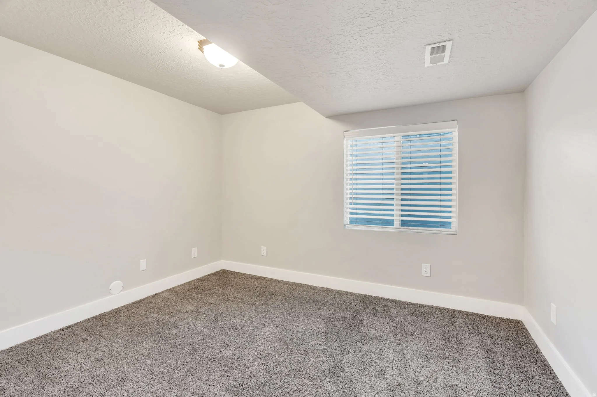 Bedroom #4 in basement