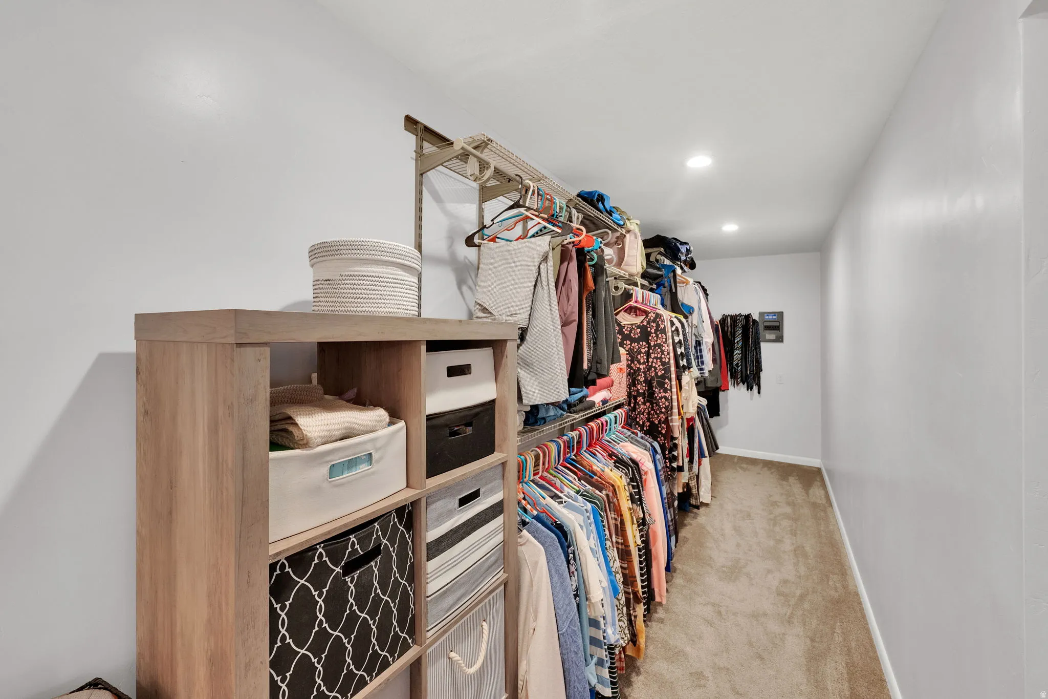 Spacious closet featuring light carpet