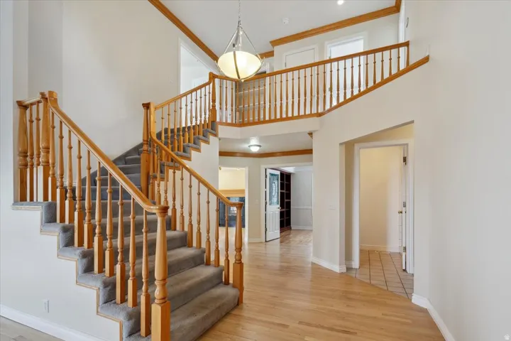 Stairway featuring ornamental molding, hardwood / wood-style flooring, and a high ceiling