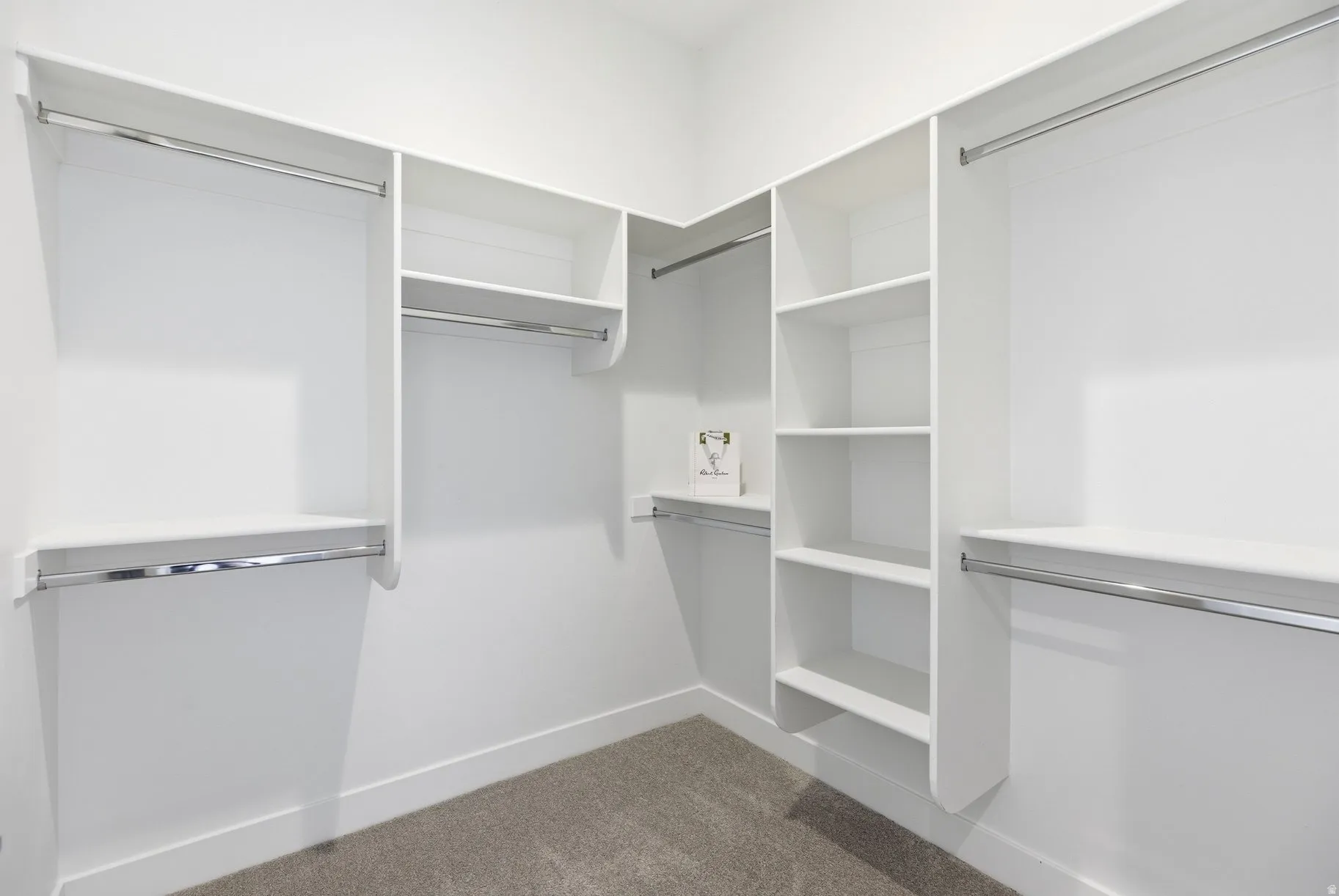 Walk in closet with light carpet