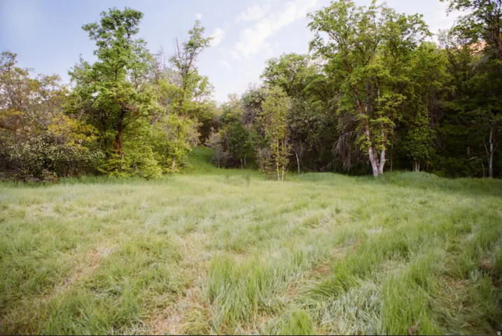 View of woods