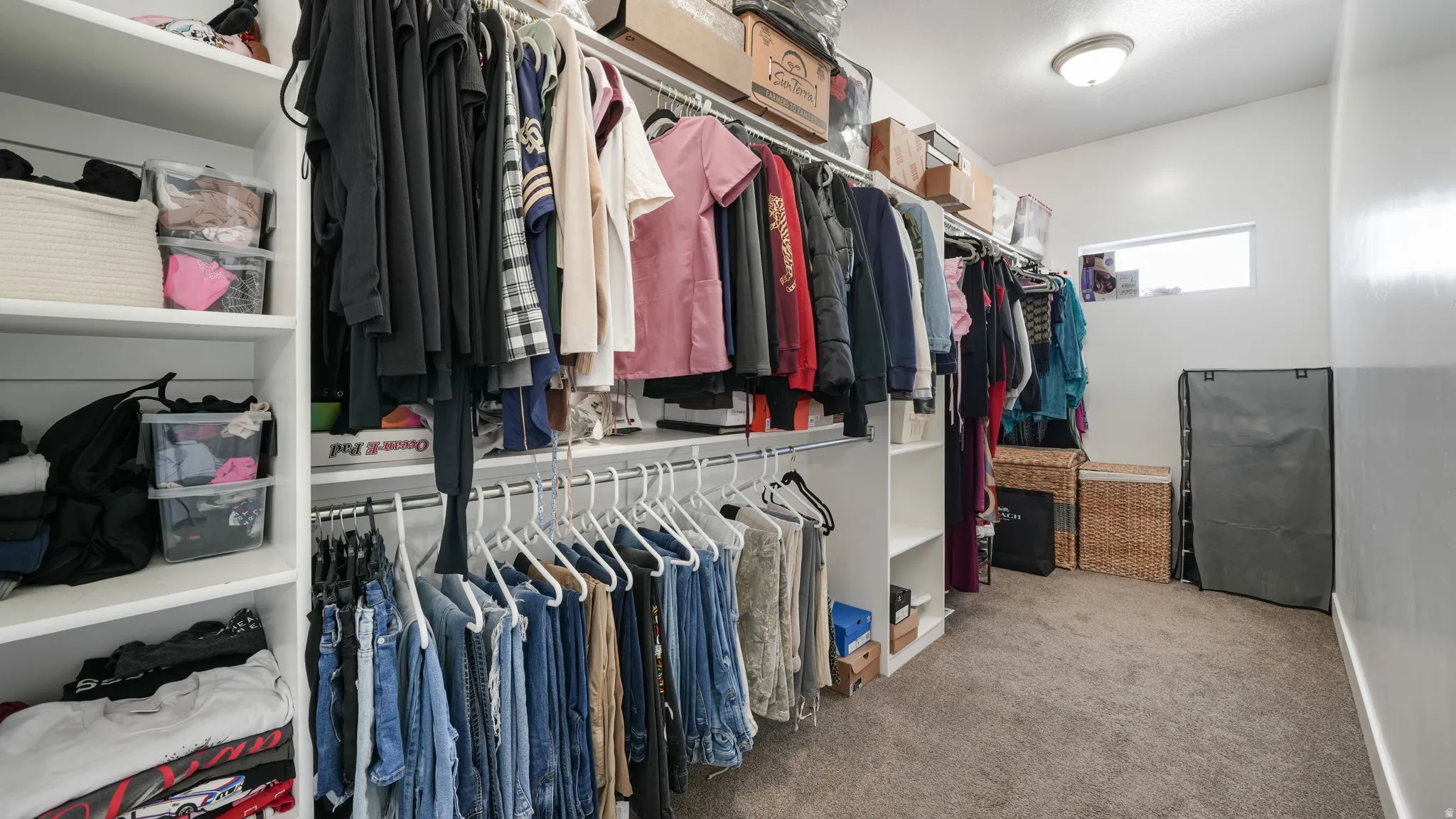 Spacious closet with light carpet