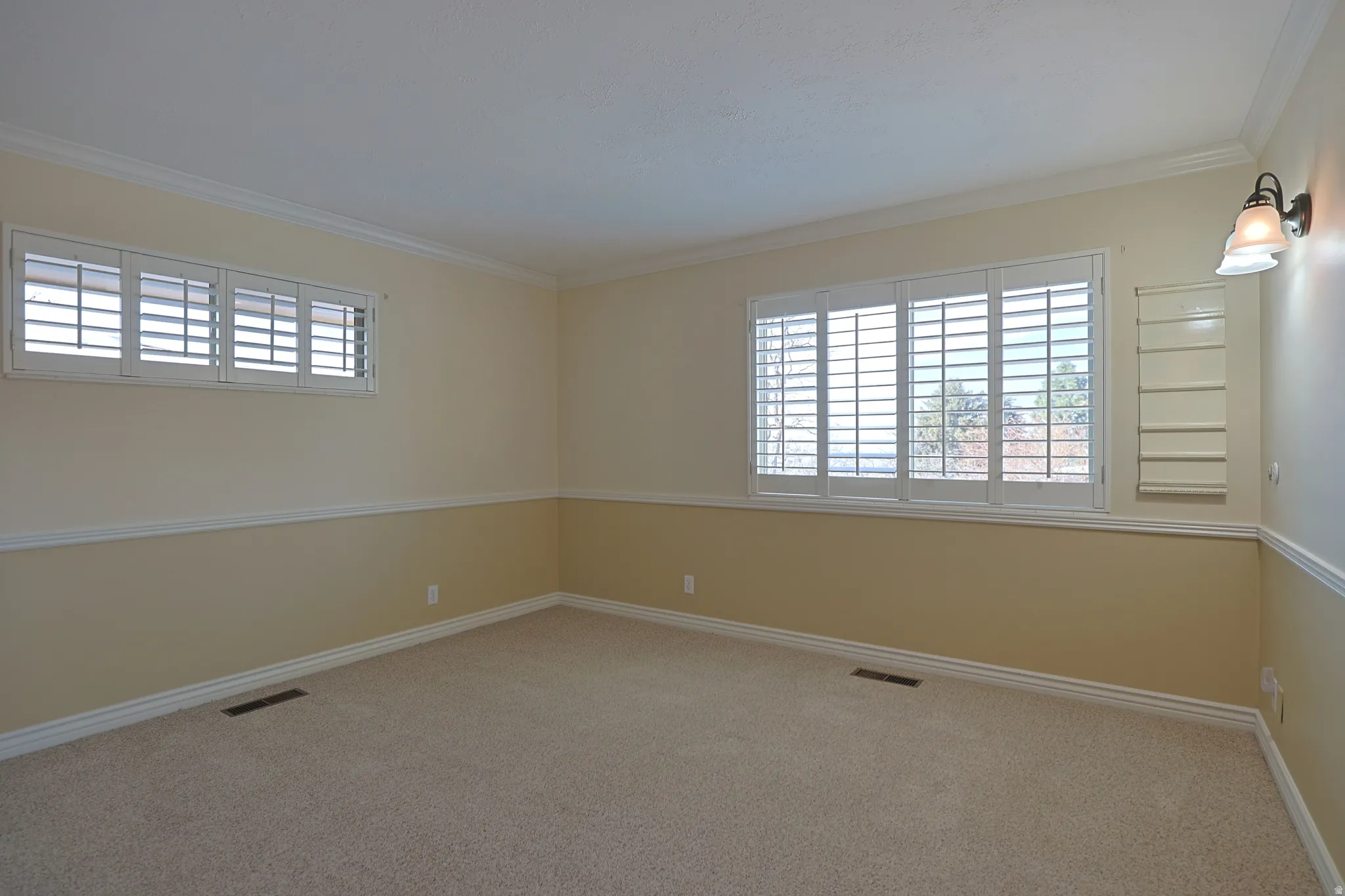 Unfurnished room featuring carpet floors, healthy amount of natural light, and crown molding