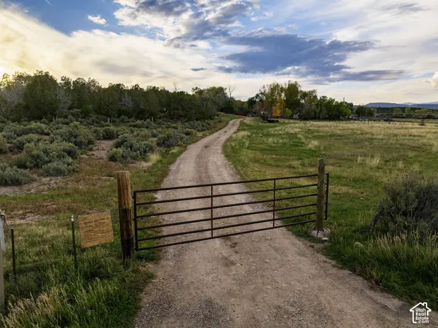 Expansive open field, dirt road access, metal gate entry, surrounding foliage, distant structures