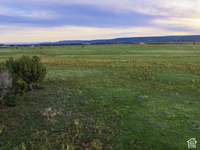 Expansive open land with varying green grasses, scattered low-lying vegetation, and distant natural terrain