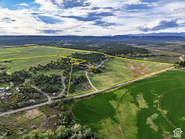 Expansive acreage with defined property boundaries, featuring a mix of open fields and natural tree cover