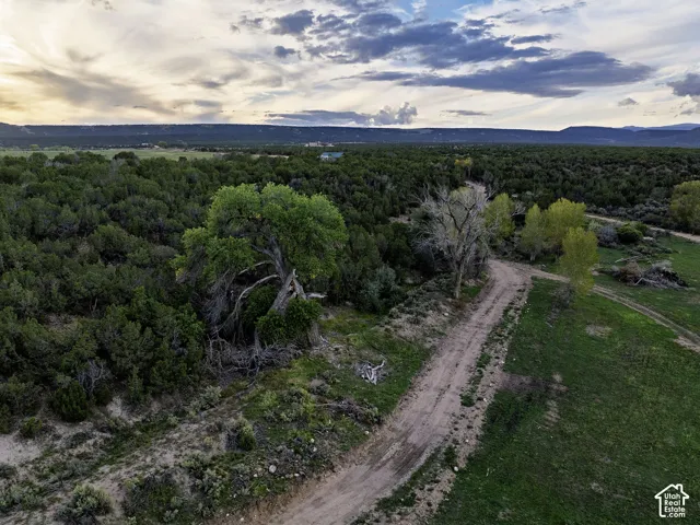 Expansive natural landscape featuring lush green foliage, mature trees, and a visible dirt path