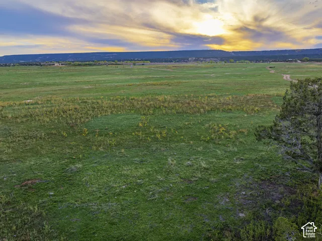 Expansive acreage featuring natural ground cover, mature trees, and distant mountain backdrops